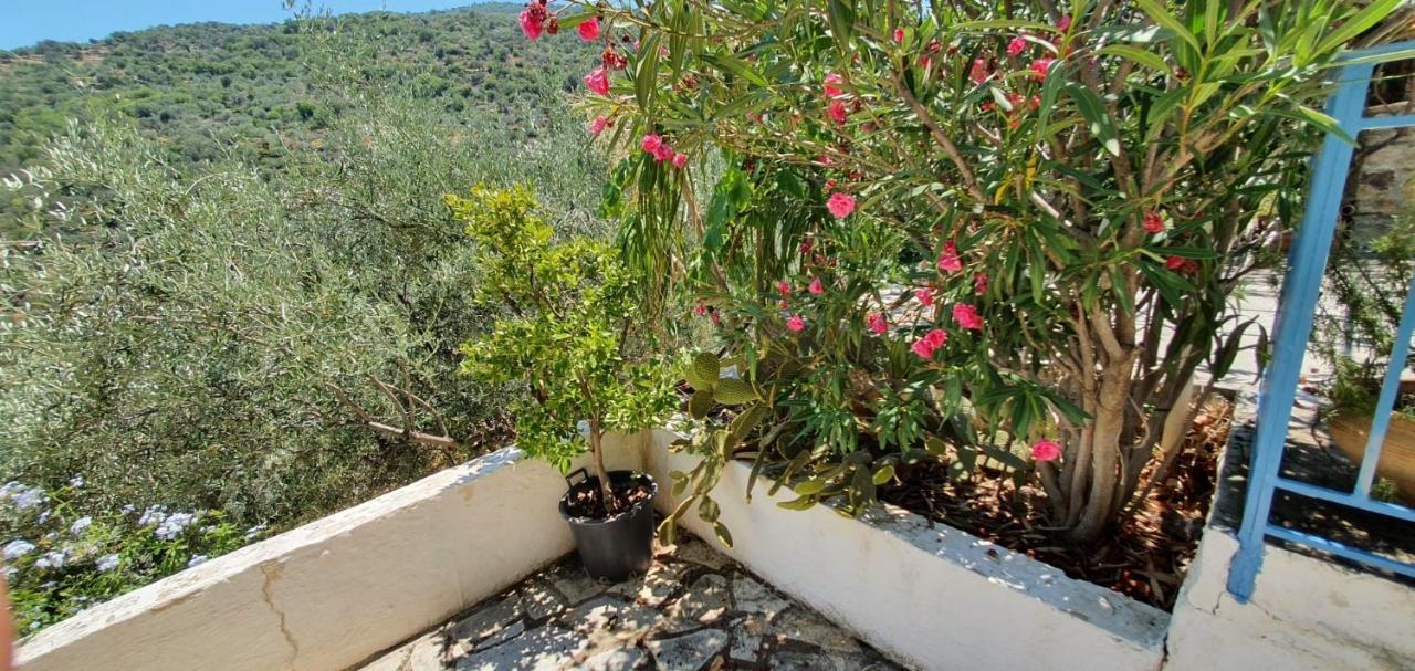 Maison Charme Avec Piscine Privee, Pres De La Mer A Sappounakeika, Tyros Sapounakeika Dış mekan fotoğraf